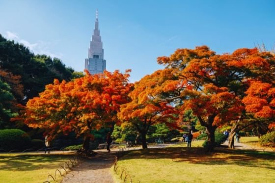 Shinjuku Gyoen National Garden