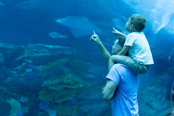 Dubai Aquarium